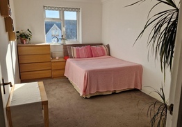 Сдается double room для ОДНОГО