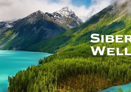 Работа в Болгарии с Siberian Wellness: возможности и перспективы
