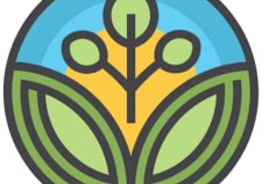 Sales Manager