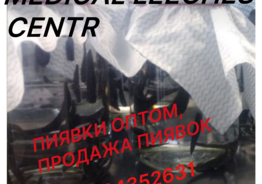 Продажа Пиявок Оптом, купить пиявки, 