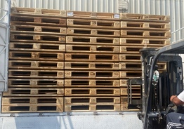 Euro Pallets