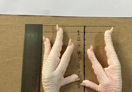 Предлагаем к поставке куриные лапки 