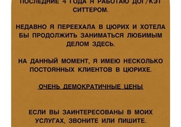 Дог/Кэт ситтинг