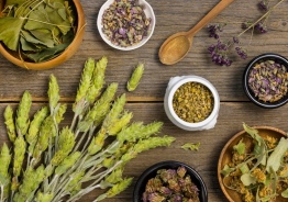 Medicinal Herbs for Health on Shoppharmacyapo