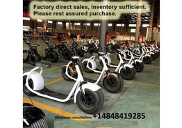 For Sale 2000 watts Harley Citycoco electric scooter Big wheel