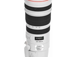 Canon EF 200-400mm f/4L IS USM Extender 1.4x Len