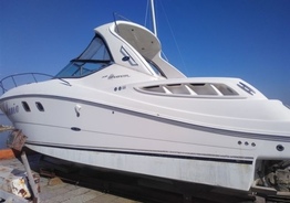 Катер SEA RAY Sandancer-335, 2008 г.в. (Беларусь)