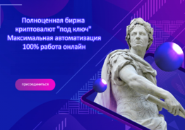 Продается готовый онлайн крипто проект. 