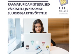 Pakun raamatupidamisteenused / Предоставляю бухгалтерские услуги