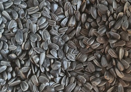 Экспорт зерновых культур Анкара
