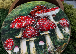 Тарелка с грибами 