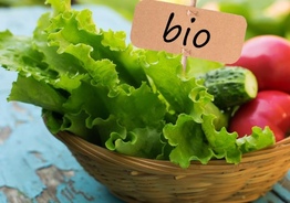 Большой выбор био продуктов из Европы