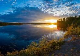 Требуются кусторезчики