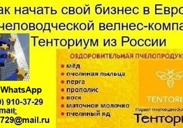 Ищу партнера в готовый бизнес для работы в Европе 