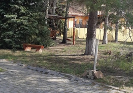 К Бабушке в деревню в Венгрию